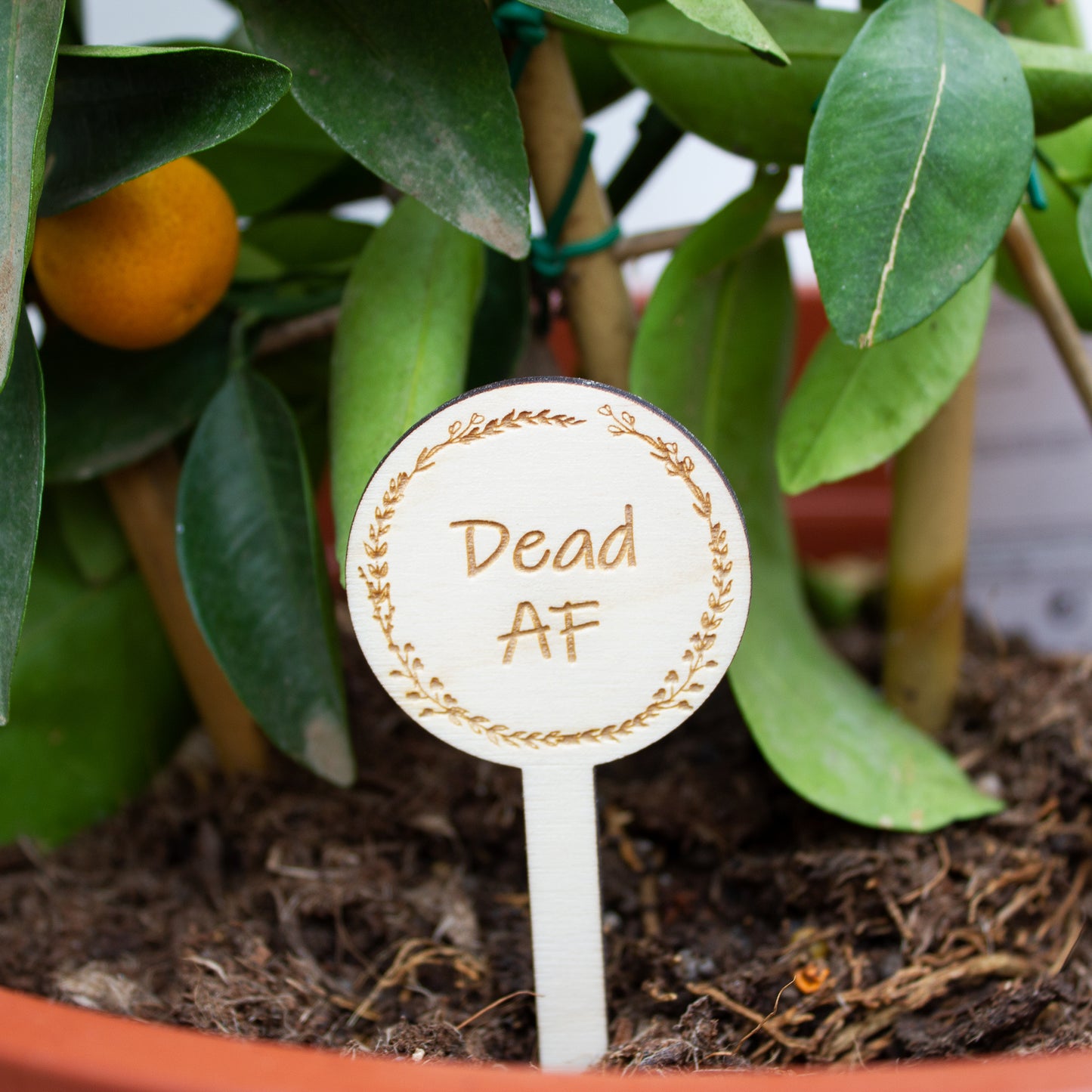 Personalised Funny Plant Sign, Funny Adult Markers, Rude Gardener Gift
