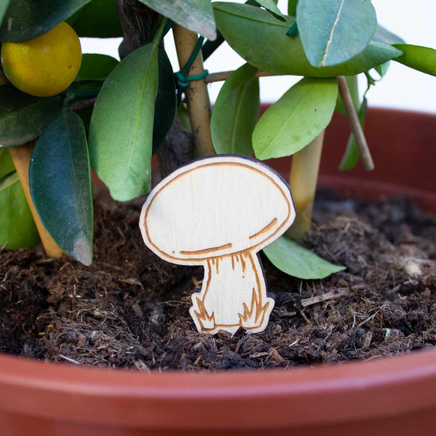 Wooden Mushroom Garden Decorations, 4 Fungi Plant Pot Ornaments, Toadstools