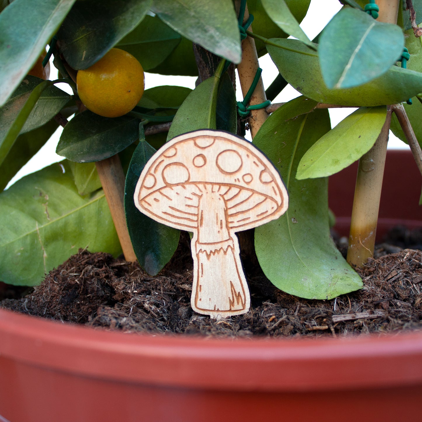 Wooden Mushroom Garden Decorations, 4 Fungi Plant Pot Ornaments, Toadstools