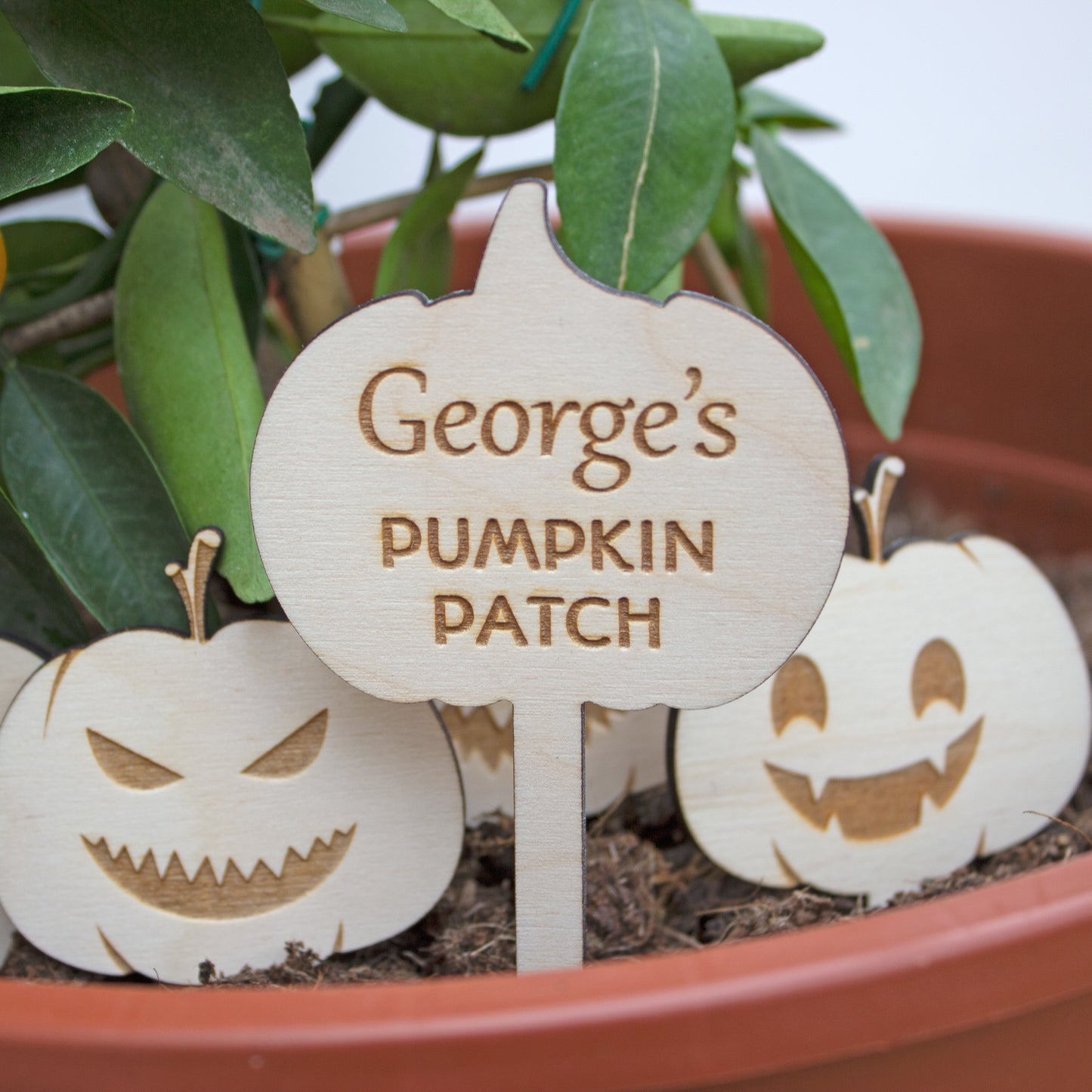 Personalised Mini Pumpkin Patch Sign, Custom Wooden Garden Halloween Signs