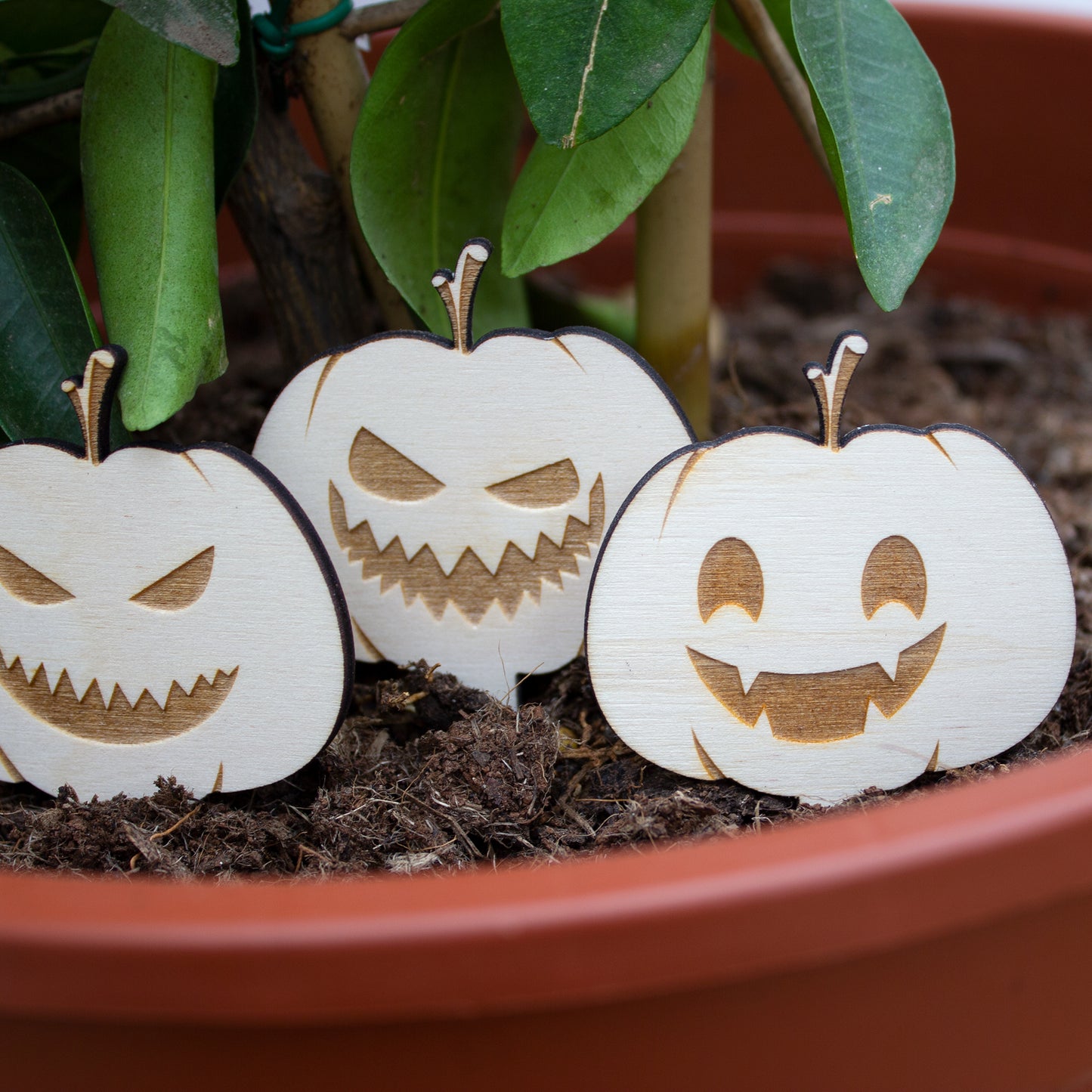 Wooden Pumpkin Garden Decorations, Set of 4 Jack O Lantern Ornaments