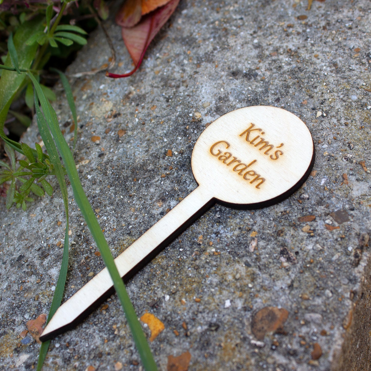 Personalised Mini Garden Sign, Vegetable Patch Marker, Gardener Gift