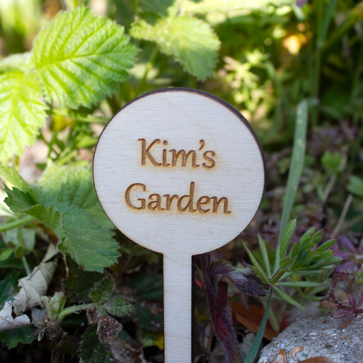 Personalised Mini Garden Sign, Vegetable Patch Marker, Gardener Gift