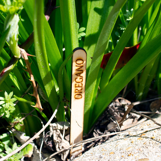 Custom Wooden Plant Labels, Herb Garden Markers, Vegetable Sticks, Gardener Gift